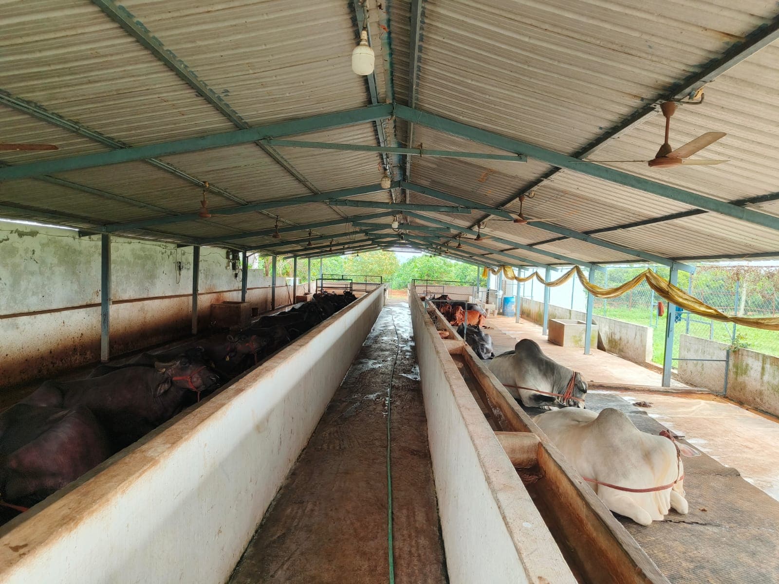 Agasthya Nutromilk — Talakondapally